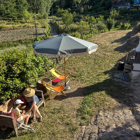 Quinta Da Peca Douro Vinhateiro Віла-Реал Екстер'єр фото