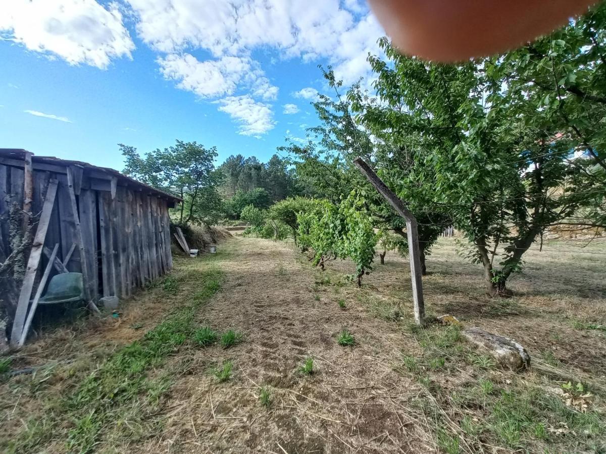 Quinta Da Peca Douro Vinhateiro Віла-Реал Екстер'єр фото