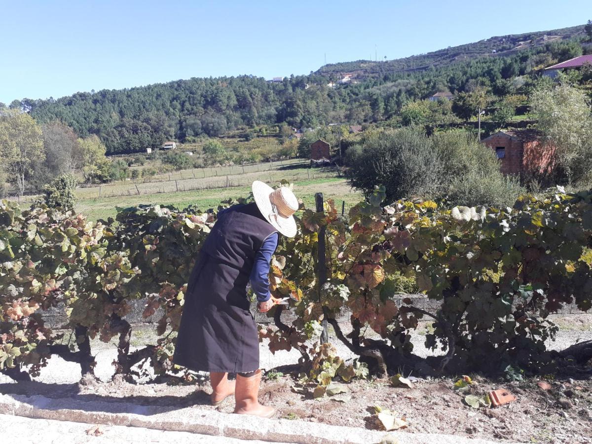 Quinta Da Peca Douro Vinhateiro Віла-Реал Екстер'єр фото