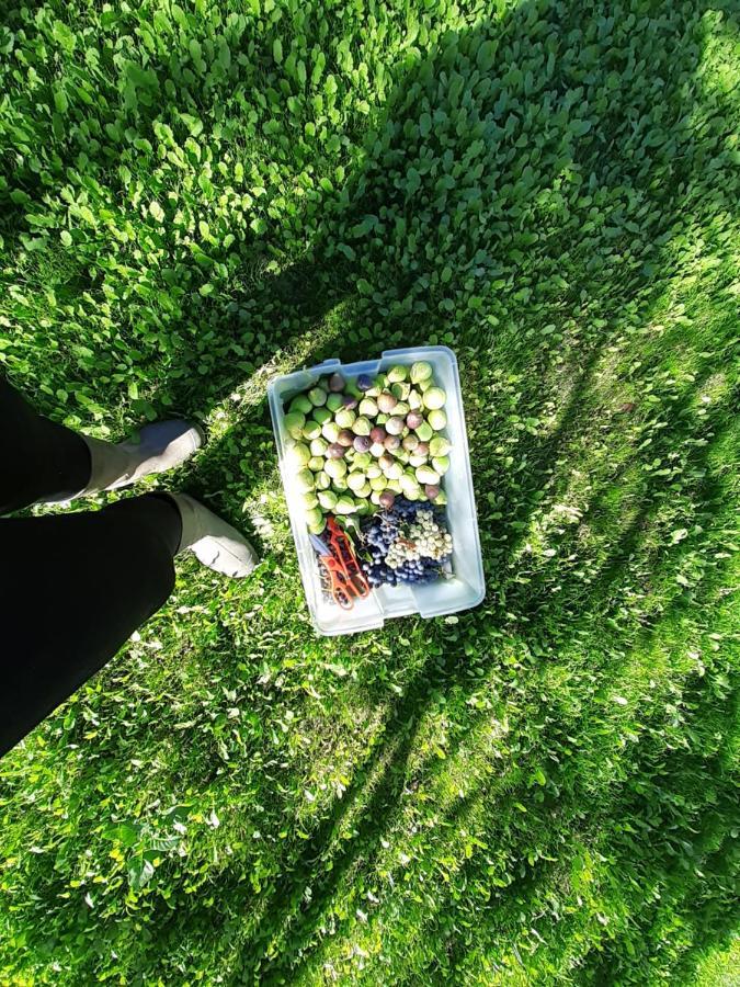 Quinta Da Peca Douro Vinhateiro Віла-Реал Екстер'єр фото