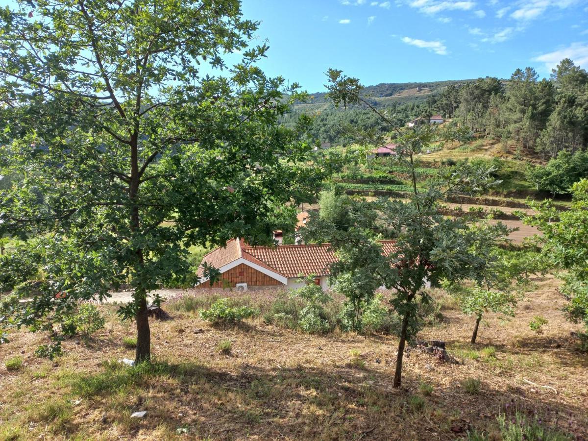Quinta Da Peca Douro Vinhateiro Віла-Реал Екстер'єр фото